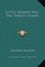 Little Dermot and the Thirsty Stones
