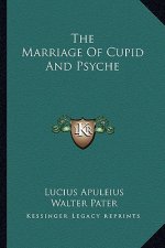 The Marriage of Cupid and Psyche