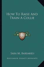 How to Raise and Train a Collie