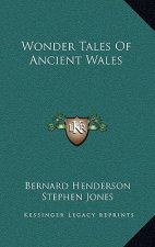 Wonder Tales of Ancient Wales