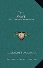 The Wave: An Egyptian Aftermath