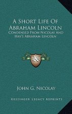 A Short Life of Abraham Lincoln: Condensed from Nicolay and Hay's Abraham Lincoln: A History
