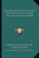 Figures and Descriptions Illustrative of British Organic Remains (1849)