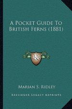 A Pocket Guide to British Ferns (1881)