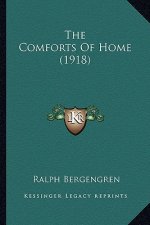 The Comforts Of Home (1918)