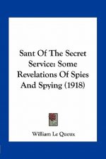 Sant of the Secret Service: Some Revelations of Spies and Spying (1918)