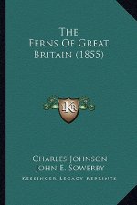 The Ferns of Great Britain (1855) the Ferns of Great Britain (1855)