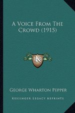 A Voice from the Crowd (1915) a Voice from the Crowd (1915)