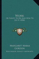 Work Work: Or Plenty to Do and How to Do It (1854) or Plenty to Do and How to Do It (1854)