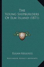 The Young Shipbuilders of ELM Island (1871)