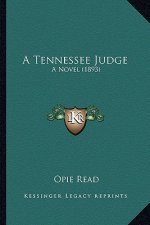 A Tennessee Judge: A Novel (1893)