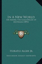 In a New World in a New World: Or Among the Gold-Fields of Australia (1893) or Among the Gold-Fields of Australia (1893)