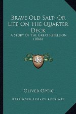 Brave Old Salt; Or Life On The Quarter Deck: A Story Of The Great Rebellion (1866)