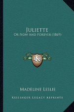 Juliette: Or Now and Forever (1869) or Now and Forever (1869)