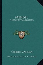 Mendel: A Story Of Youth (1916)
