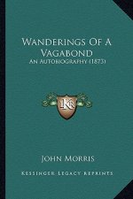 Wanderings of a Vagabond: An Autobiography (1873) an Autobiography (1873)