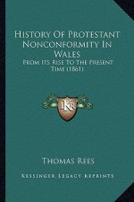 History Of Protestant Nonconformity In Wales: From Its Rise To The Present Time (1861)