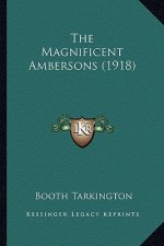 The Magnificent Ambersons (1918) the Magnificent Ambersons (1918)