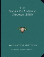 The Prayer Of A Navajo Shaman (1888)
