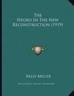 The Negro In The New Reconstruction (1919)