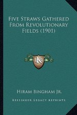 Five Straws Gathered from Revolutionary Fields (1901)