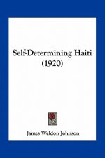 Self-Determining Haiti (1920)