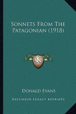 Sonnets from the Patagonian (1918)