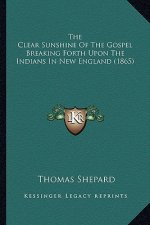 The Clear Sunshine of the Gospel Breaking Forth Upon the Indians in New England (1865)