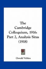 The Cambridge Colloquium, 1916: Part 2, Analysis Situs (1918)