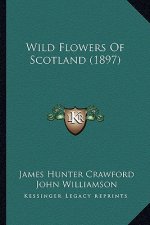 Wild Flowers of Scotland (1897)