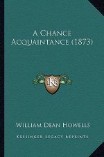 A Chance Acquaintance (1873)