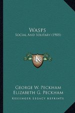 Wasps: Social and Solitary (1905)