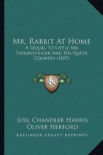 Mr. Rabbit at Home: A Sequel to Little Mr. Thimblefinger and His Queer Country (a Sequel to Little Mr. Thimblefinger and His Queer Country