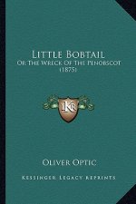 Little Bobtail: Or the Wreck of the Penobscot (1875) or the Wreck of the Penobscot (1875)