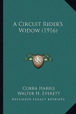 A Circuit Rider's Widow (1916)