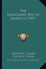 The Immigrant Jew in America (1907) the Immigrant Jew in America (1907)