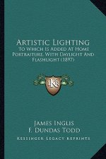 Artistic Lighting: To Which Is Added at Home Portraiture, with Daylight and Flato Which Is Added at Home Portraiture, with Daylight and F