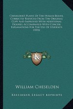 Cheselden's Plates of the Human Bones, Correctly Reduced Frocheselden's Plates of the Human Bones, Correctly Reduced from the Original Copy and Improv