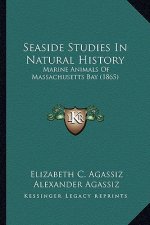 Seaside Studies In Natural History: Marine Animals Of Massachusetts Bay (1865)