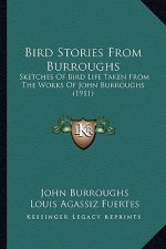 Bird Stories From Burroughs: Sketches Of Bird Life Taken From The Works Of John Burroughs (1911)