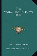 The Worst Boy In Town (1880)