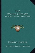 The Young Outlaw the Young Outlaw: Or Adrift in the Streets (1875) or Adrift in the Streets (1875)