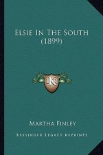 Elsie in the South (1899)