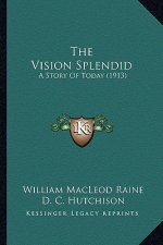The Vision Splendid: A Story Of Today (1913)