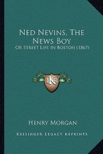 Ned Nevins, the News Boy: Or Street Life in Boston (1867) or Street Life in Boston (1867)