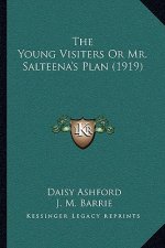 The Young Visiters or Mr. Salteena's Plan (1919)