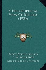 A Philosophical View of Reform (1920)