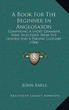 A Book for the Beginner in Anglosaxon: Comprising a Short Grammar, Some Selections from the Gospels and a Parsing Glossary (1884)