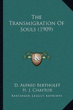 The Transmigration of Souls (1909)