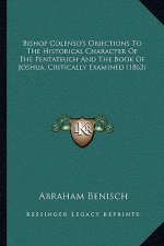 Bishop Colenso's Objections to the Historical Character of the Pentateuch and the Book of Joshua, Critically Examined (1863)